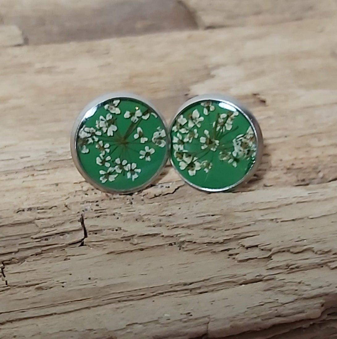 Boutons d'oreille fleurs de carottes sauvages