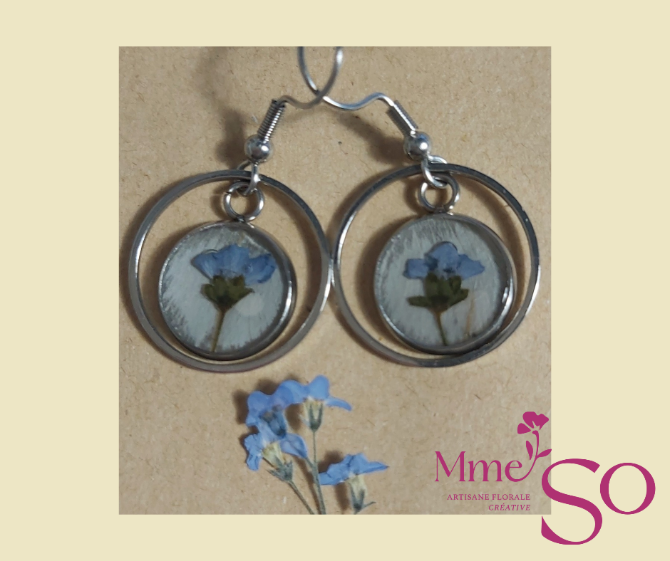 Délicate Myosotis