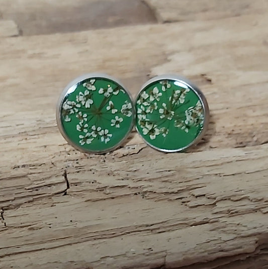 Boutons d'oreille fleurs de carottes sauvages