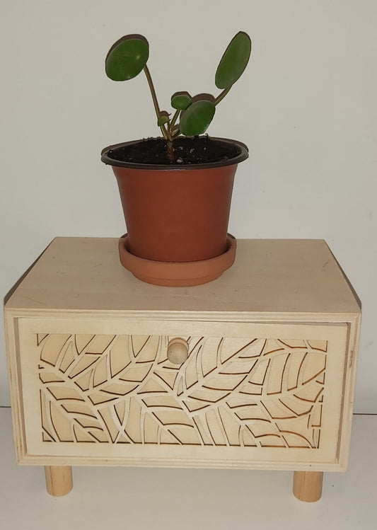 Pilea
