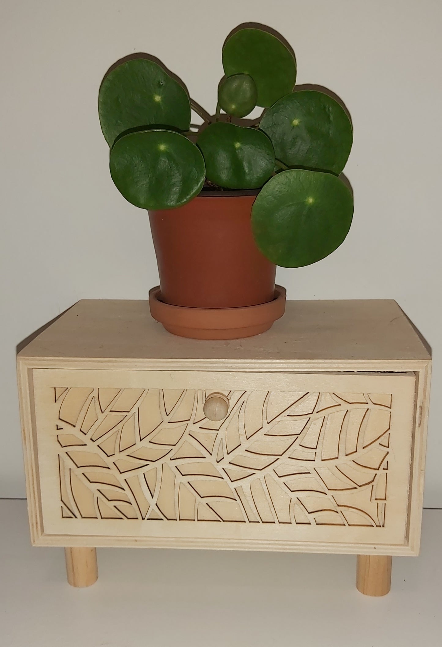 Pilea