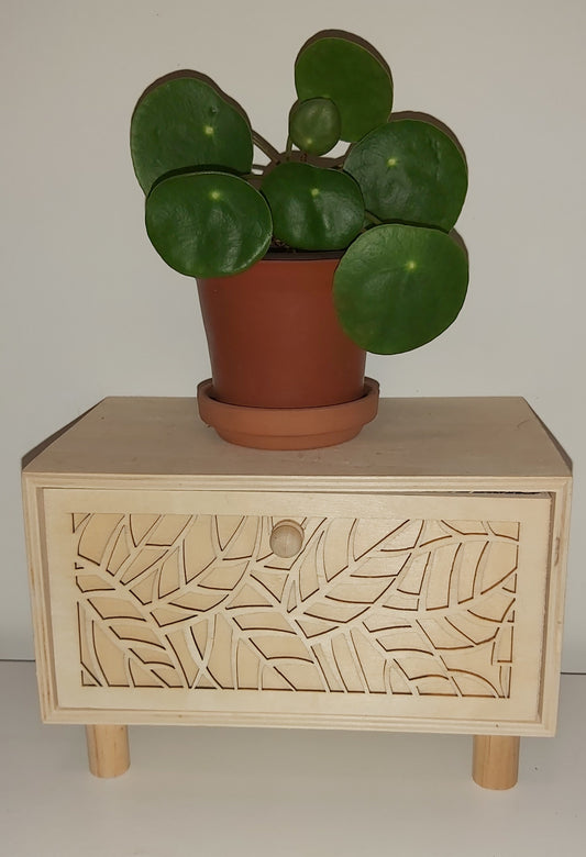 Pilea